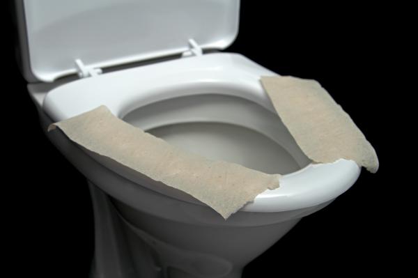 ARE PUBLIC TOILETS THE CAUSE OF UTI&#039;S?