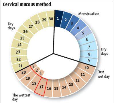 cervical-mucus-Chart-contraception-method
